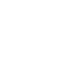 dog-with-belt-walking-with-a-man